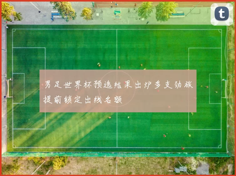 男足世界杯预选结果出炉多支劲旅提前锁定出线名额