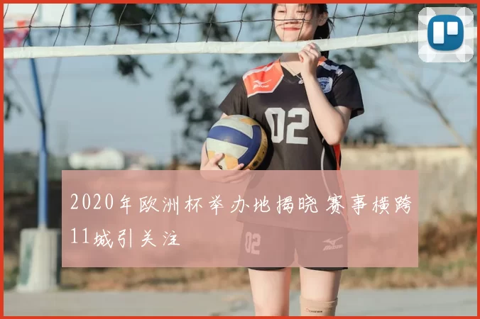 2020年欧洲杯举办地揭晓 赛事横跨11城引关注