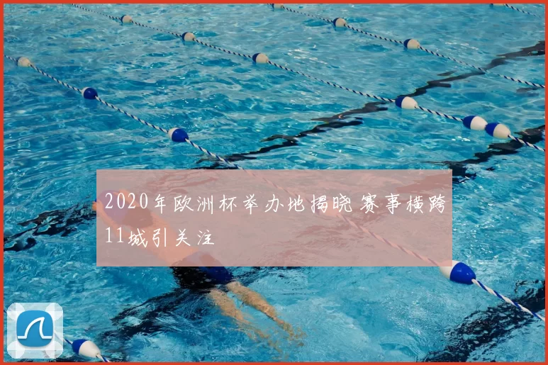 2020年欧洲杯举办地揭晓 赛事横跨11城引关注