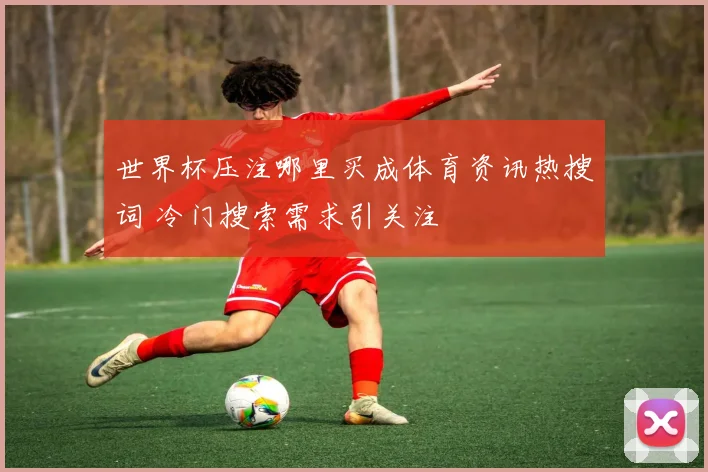 世界杯压注哪里买成体育资讯热搜词 冷门搜索需求引关注