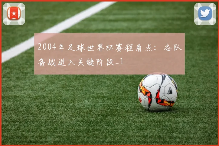 2004年足球世界杯赛程看点：各队备战进入关键阶段_1