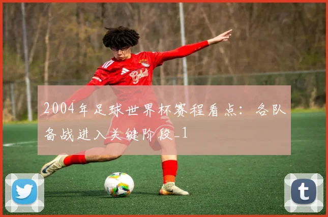 2004年足球世界杯赛程看点：各队备战进入关键阶段_1